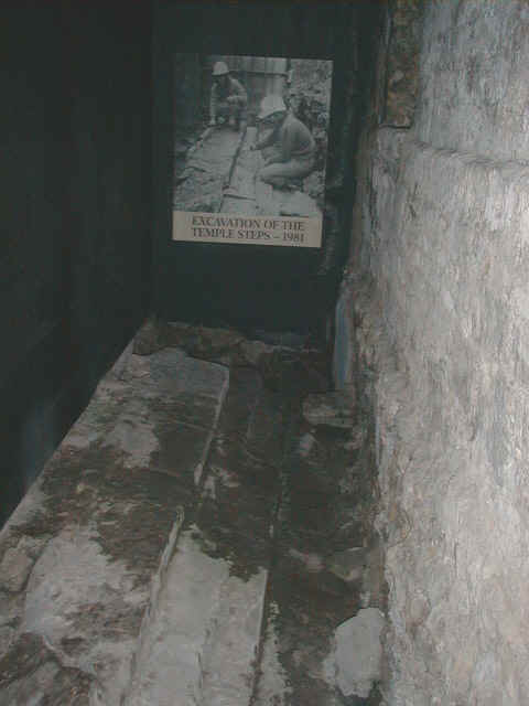 agf00059.jpg (73943 bytes)