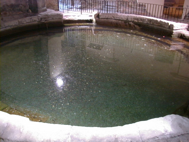 agf00095.jpg (71217 bytes)